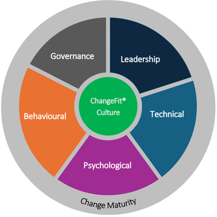 The 7 dimensions of ChangeFit® diagram in circle segments