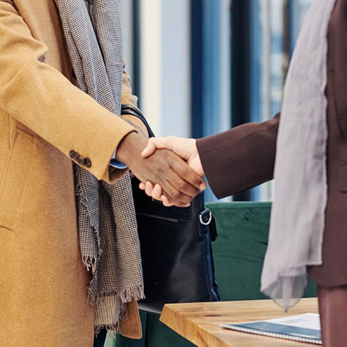 Man shaking woman's hand
